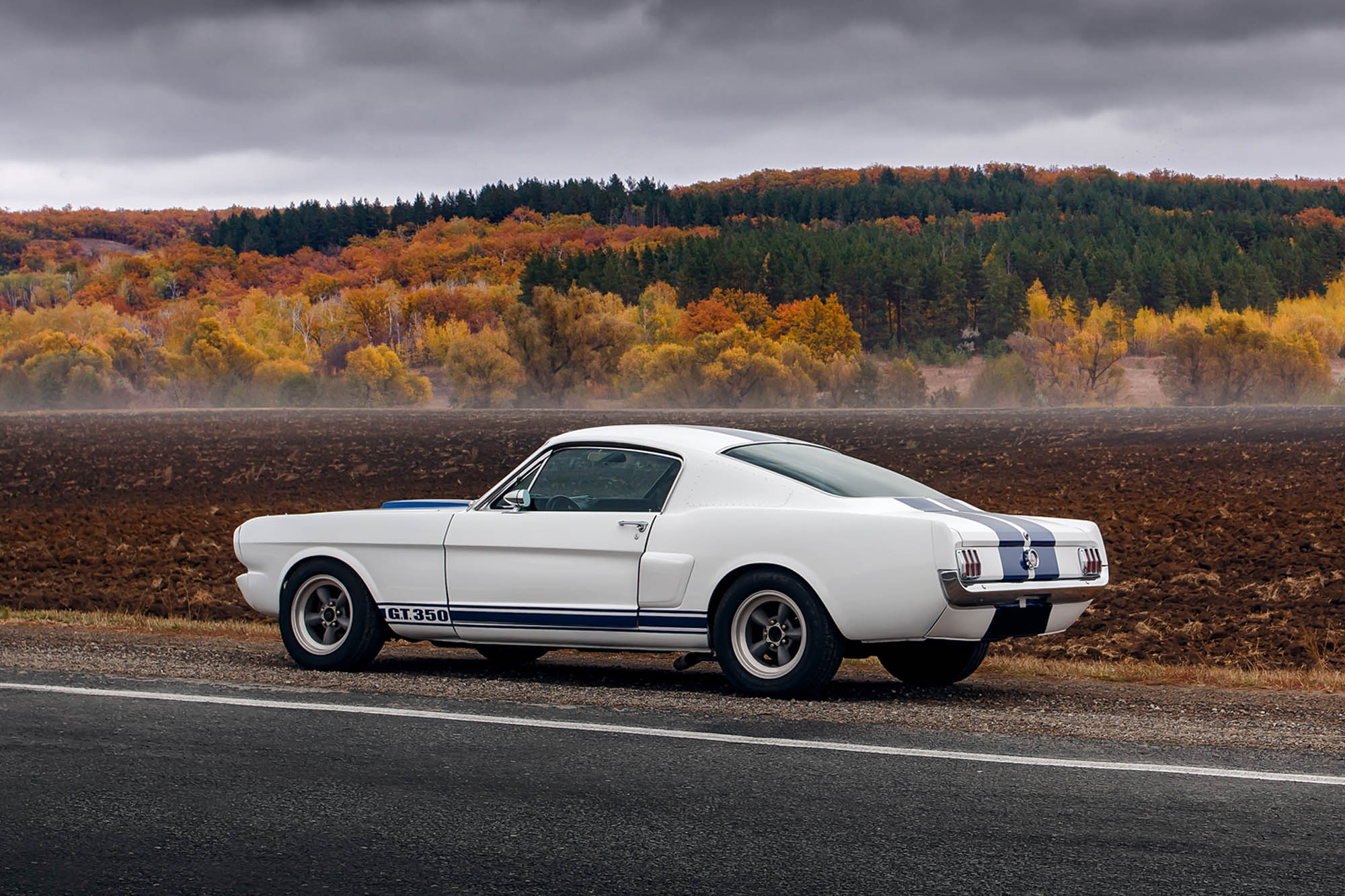 Facts about Ford Mustang Cars, History & More